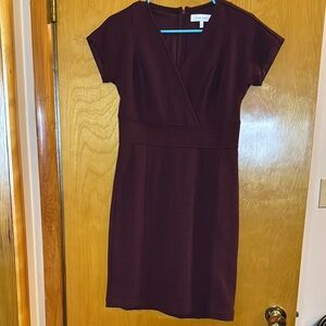 Lark & Ro Purple V-neck Sheath Midi Dress NWOT